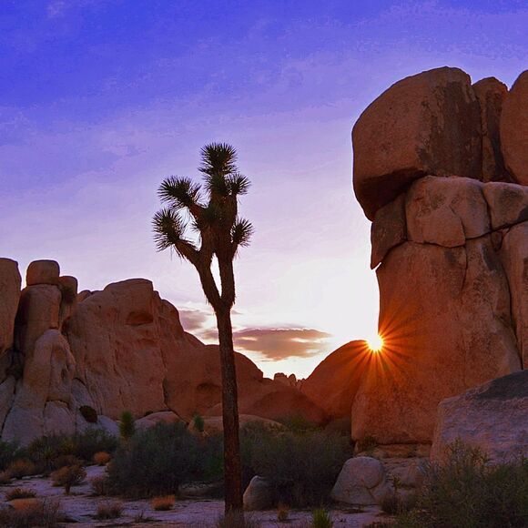 Some Amazing JT sunsets! - Picture 5 of 16